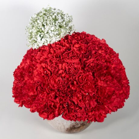 bombonera claveles rojos