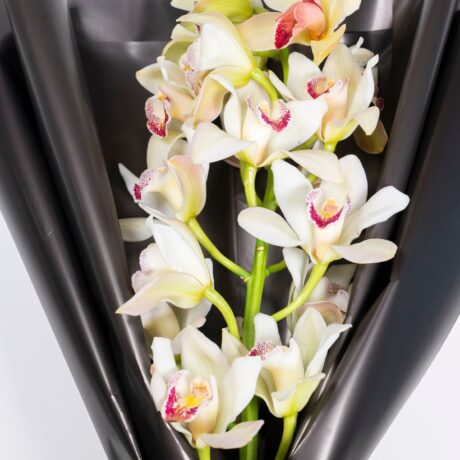bouquet de orquideas ramo de orquideas con envoltura negra