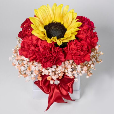 Caja de girasol con claveles rojos y base blanca con moño