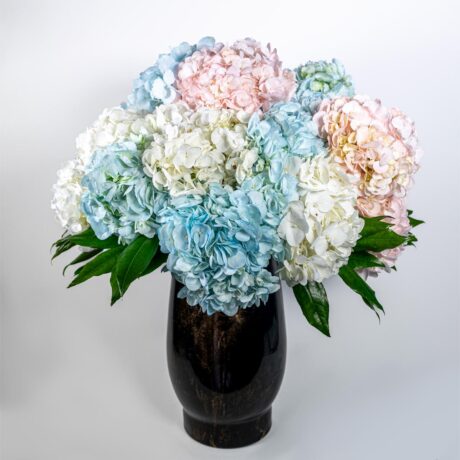 jarron de hortensias de colores