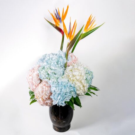 jarron de hortensias de colores