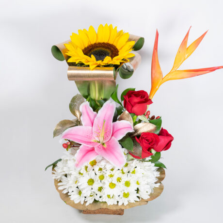 GIRASOL DRACENA LIRIOS ROSAS MARGARITAS OPALOS