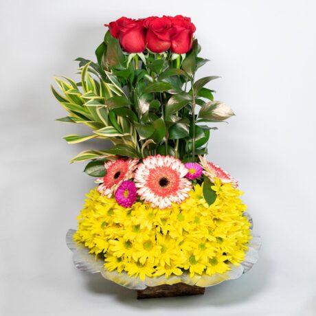 rosas margaritas rusco gerberas coquetas