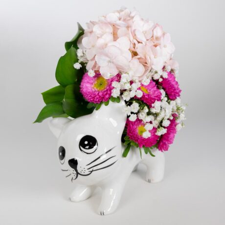 hortencias coquetas gitso