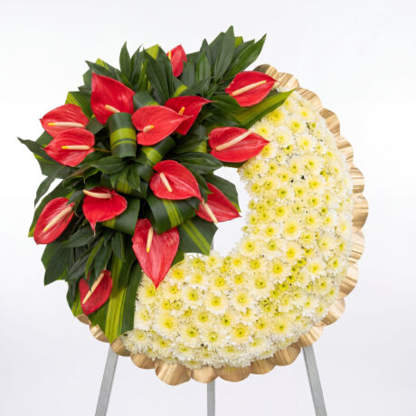 margaritas anturios dracena