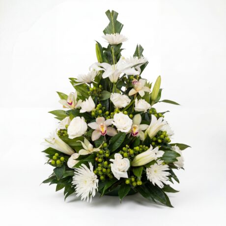 rosas orquideas lirios impericos rusco