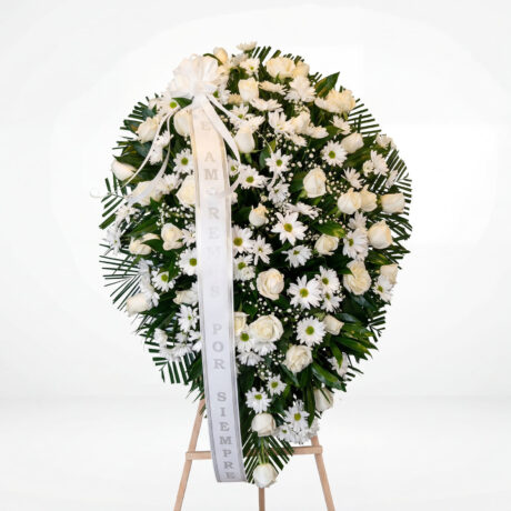 maragritas rosas rusco