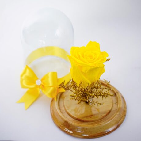 Preservada Mini Amarilla