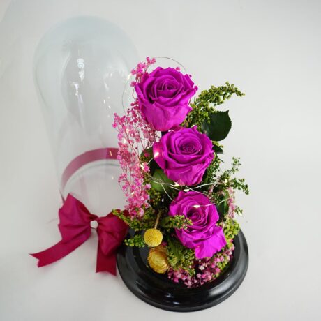 Rosa Preservada Rosada X3