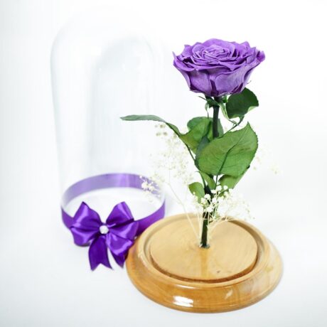 Rosa Preservada Morada