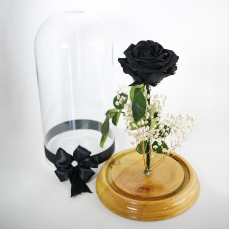 Rosa Preservada Negra