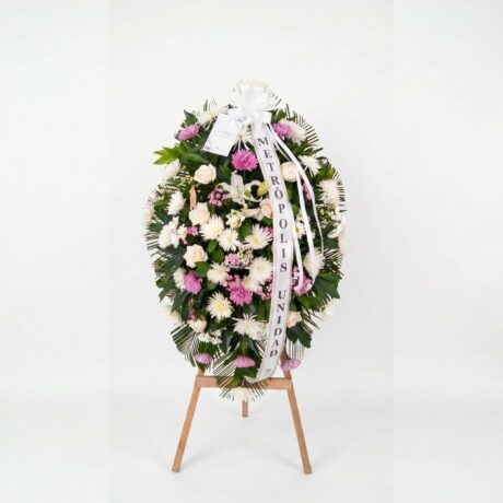rosas-chirosas-clavel