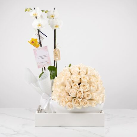 rosas-orquidea